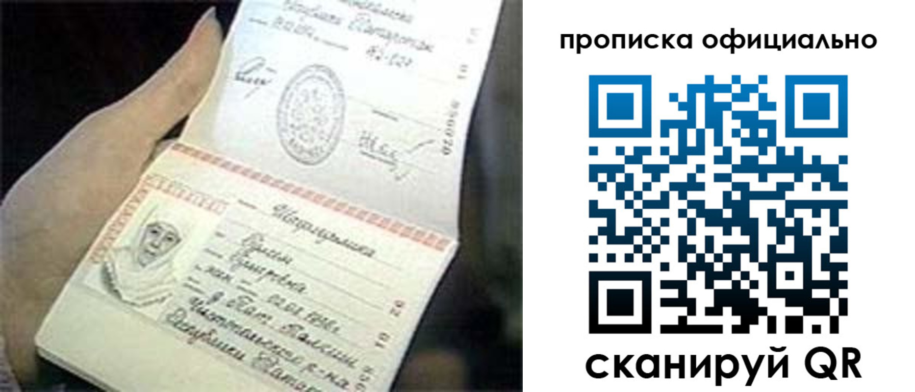 прописка поиск в Шебекино